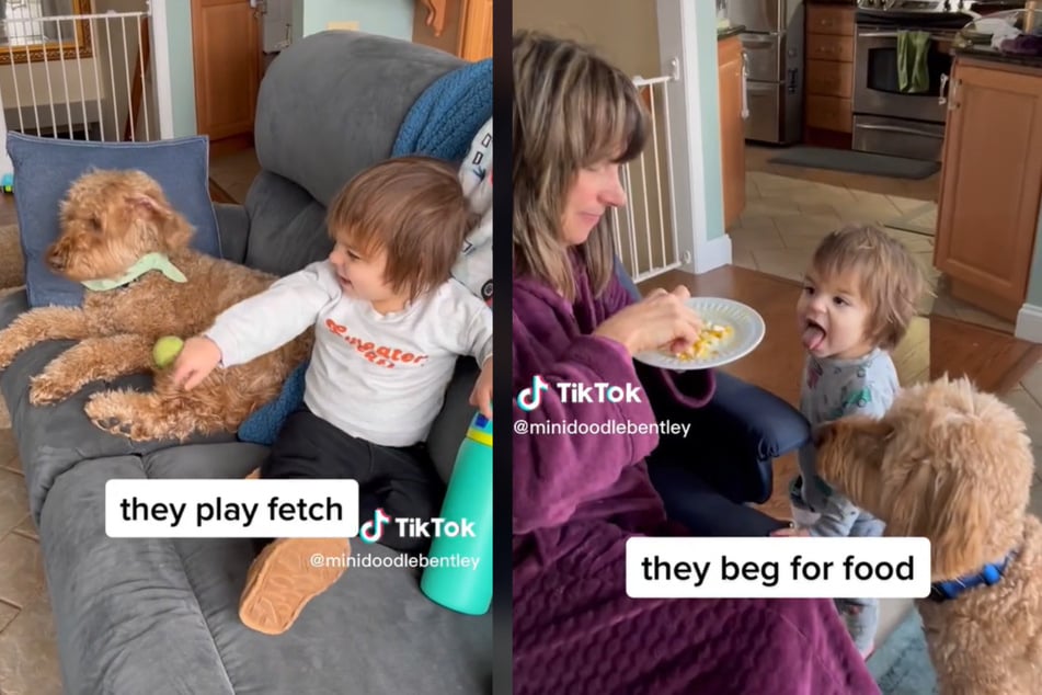 Growing up with a dog can be good for kids!