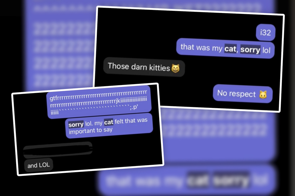 Kate's cat is a regular chatty Cathy at work.