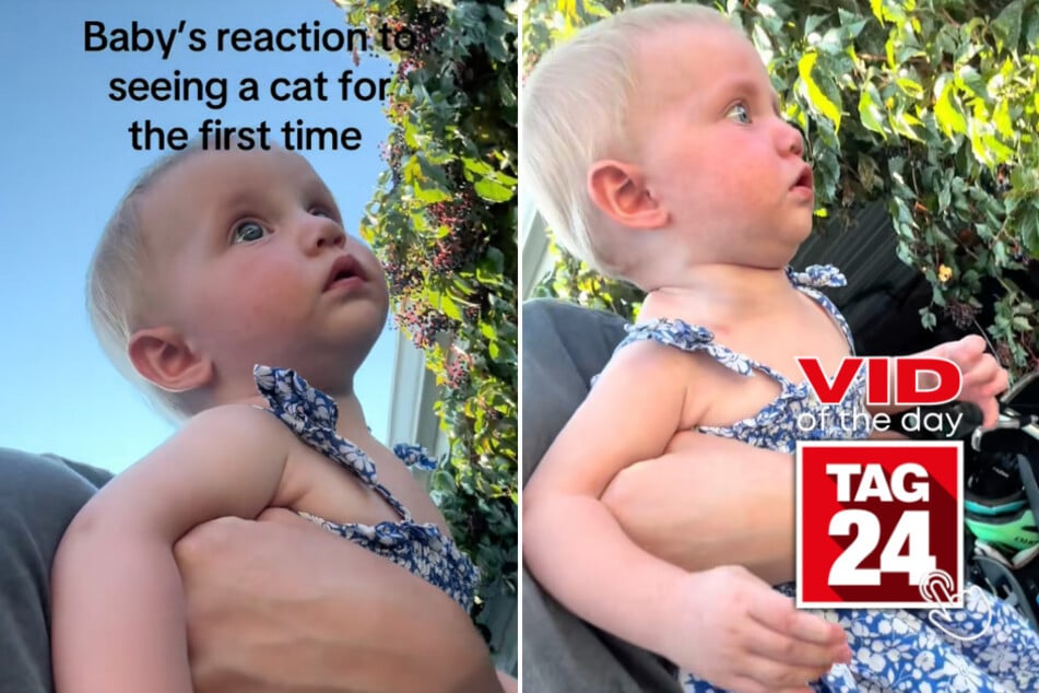 Viral Video of the Day for September 14, 2025: Baby has intense reaction to seeing a cat for first time