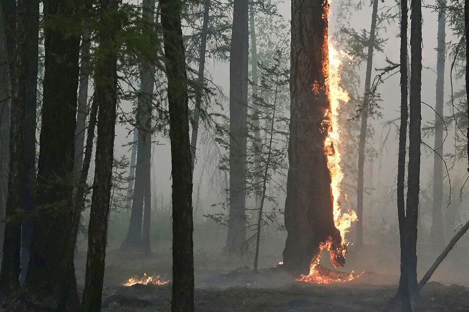 Climate change: The many ways it's already impacting your life and what's still to come