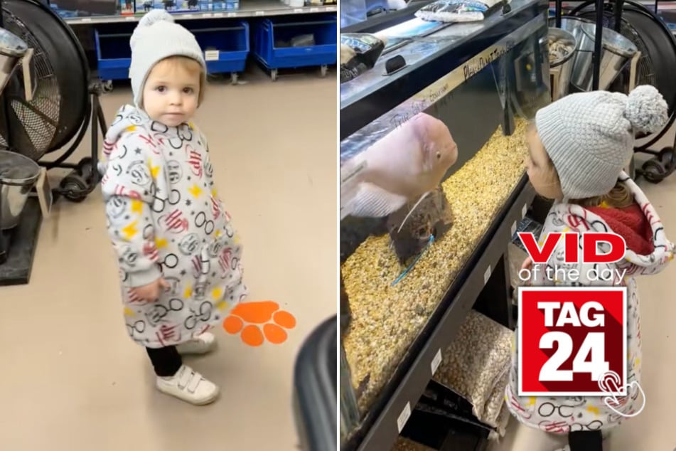 Viral Video of the Day for January 11, 2025: Little girl gets big surprise from fish at pet store!