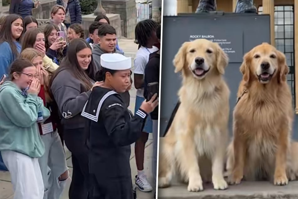 Dogs pull off the sweetest viral stunt at Philadelphia's famous Rocky Steps: "I would've cried on the spot"