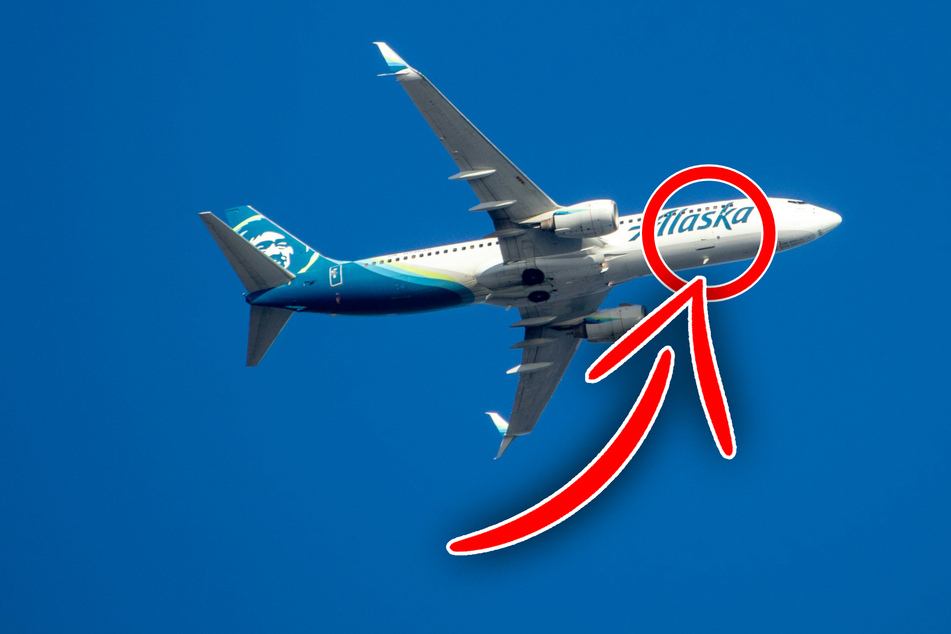 Pets on Alaska Airlines flight narrowly avoid tragedy after alarming cargo door mishap