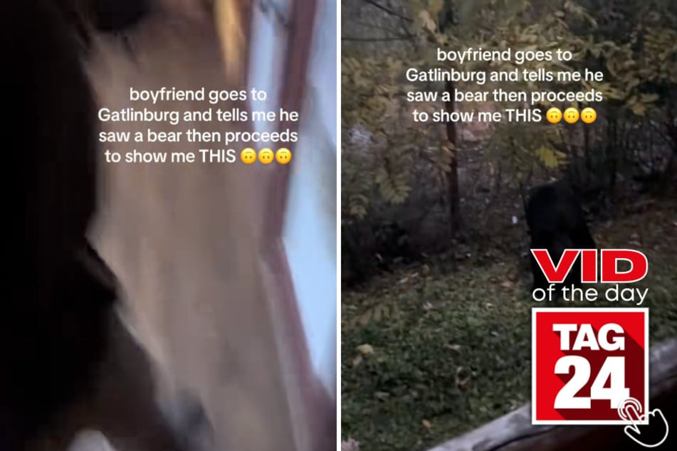 This boyfriend had NO idea the bear he spotted outside was about to charge at him!