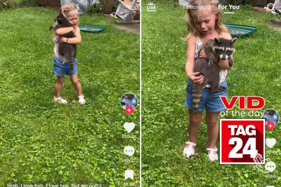 Viral Video of the Day for August 7, 2023: Girl cries while holding adorable baby trash panda on TikTok