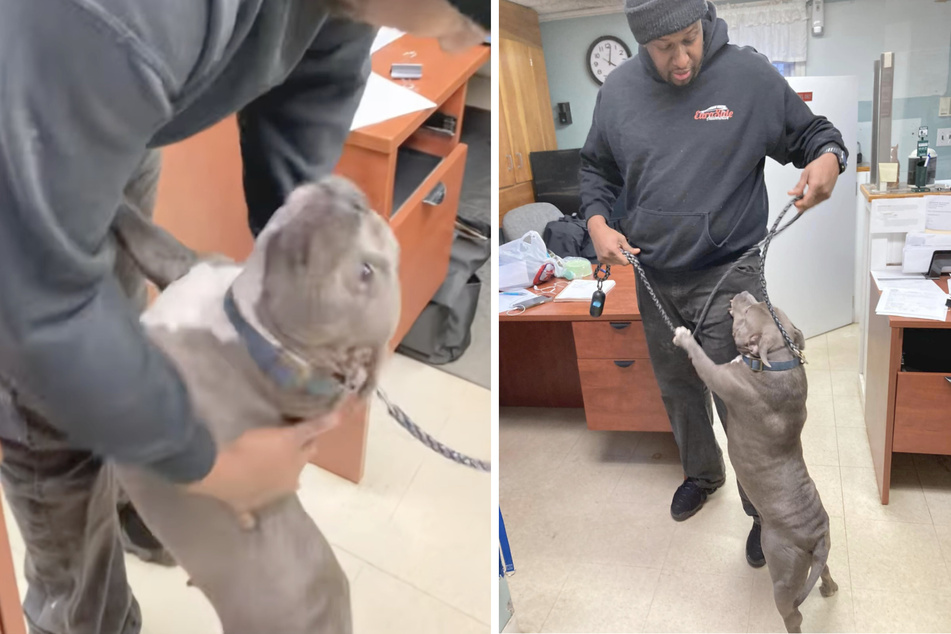 Dog is unstoppable once she sniffs out her long-lost owner in heartwarming reunion!