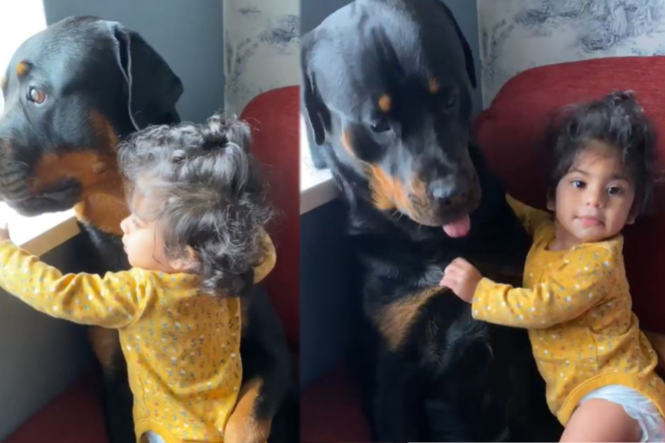 Baby's cuddle session with dog goes viral on Instagram