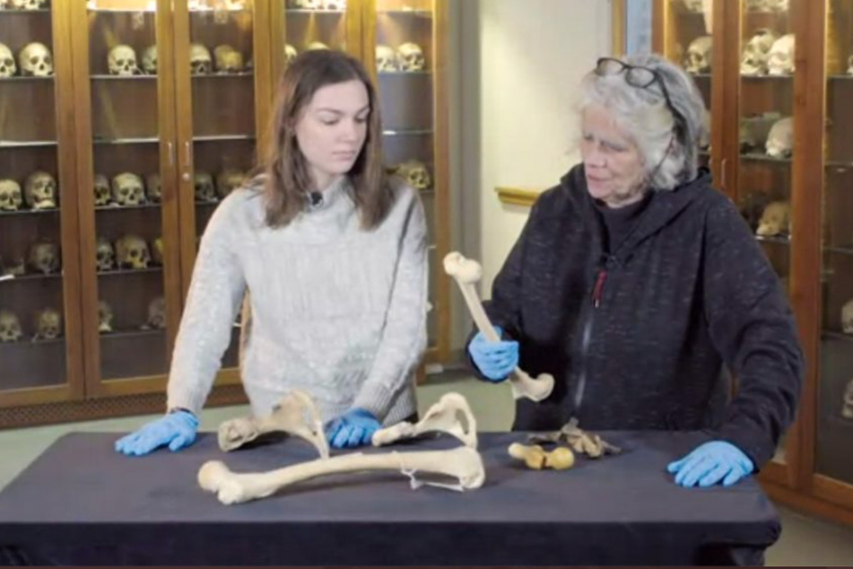 Ivy League schools under fire for using bones of Black victims of Philadelphia police bombing