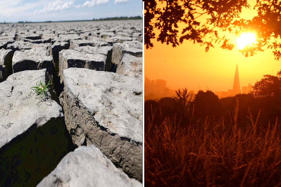 Climate change: Researchers warn of "extreme heat belt" to come