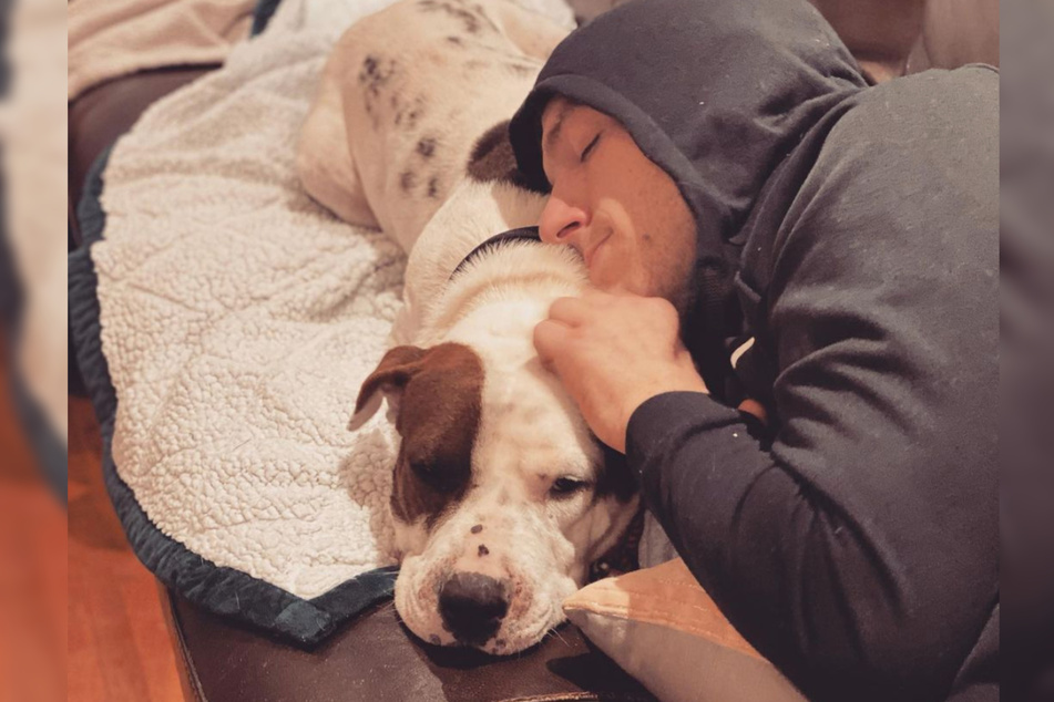 Once Boomer is inside, he loves to snuggle on the couch with his foster family.