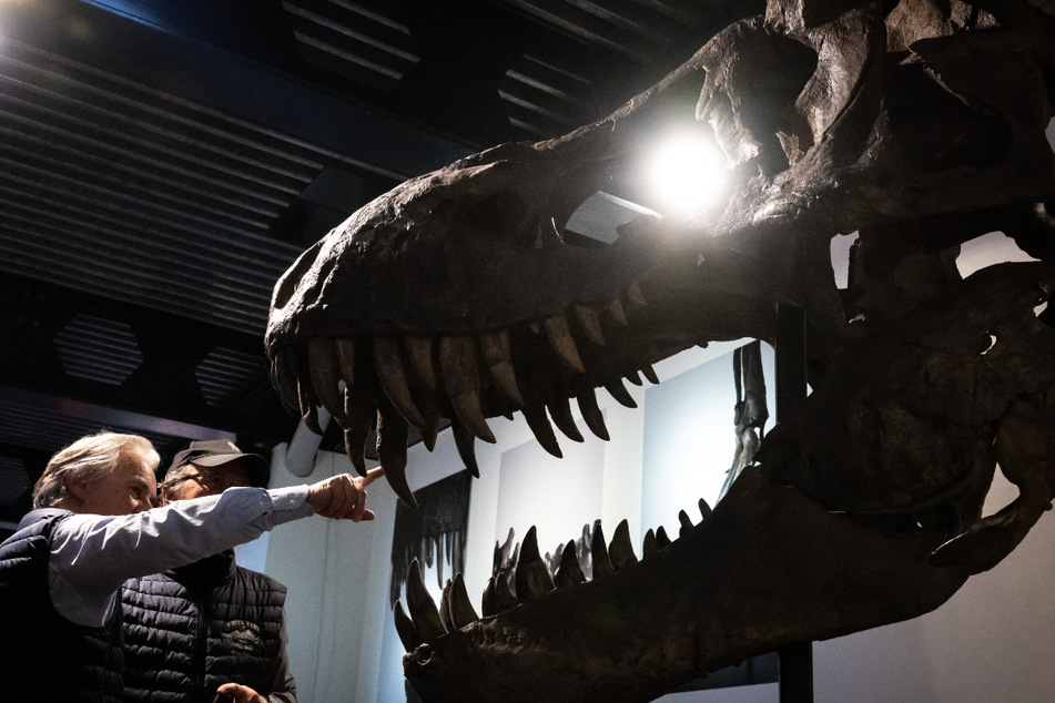 Bidders are seen next to a picture of Trinity is seen after the sale of the Tyrannosaurus-Rex (T-Rex) skeleton by Koller auction house in Zurich, on April 18, 2023.