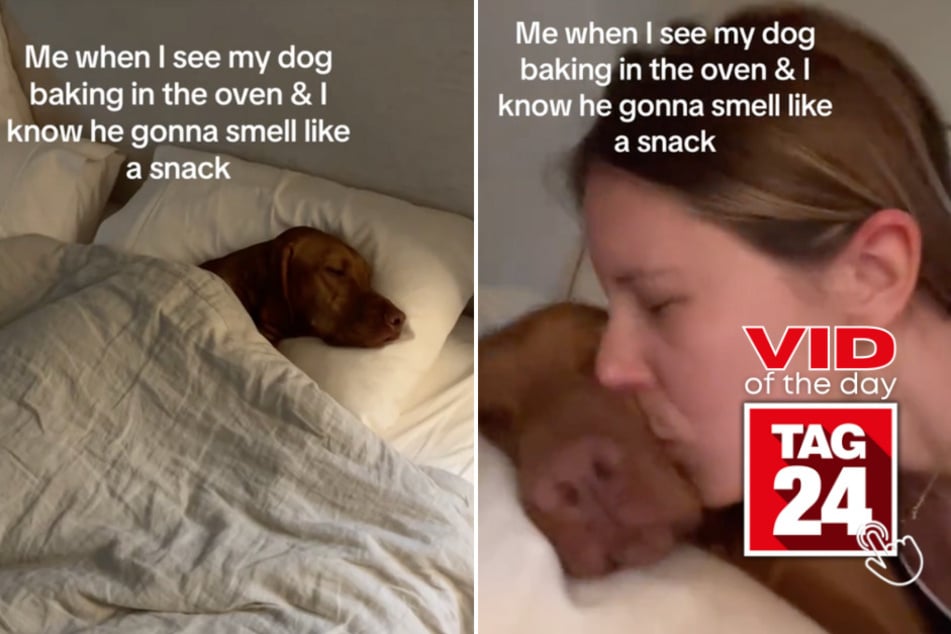 Viral Video of the Day for August 20, 2023: Dog owner can't get enough of that "Frito" smell!