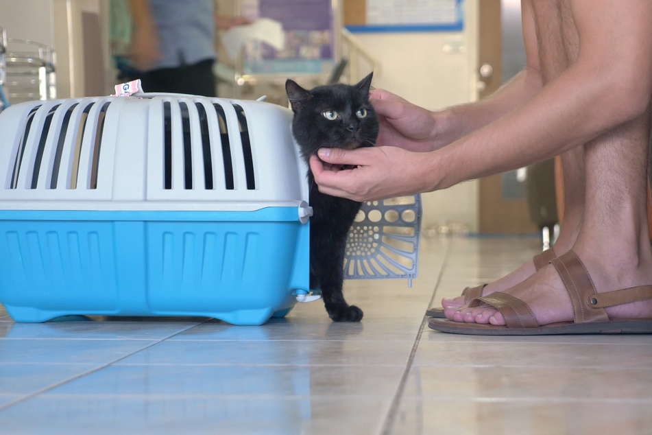 The right container plays an important role in the well-being of your furry friends.