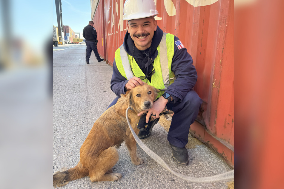 A dog was found stuck in a container by Texas marine inspectors!