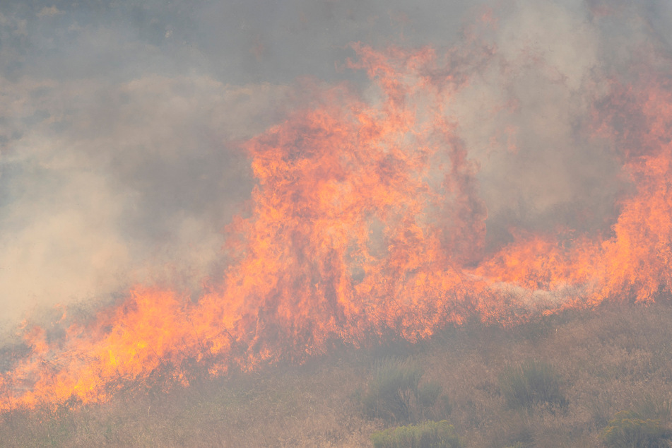 Firefighters battling wildfire in Washington arrested by immigration agents