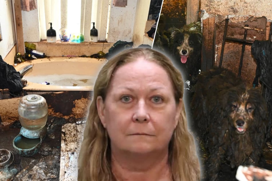 These 30 dogs were rescued truly abhorrent conditions!