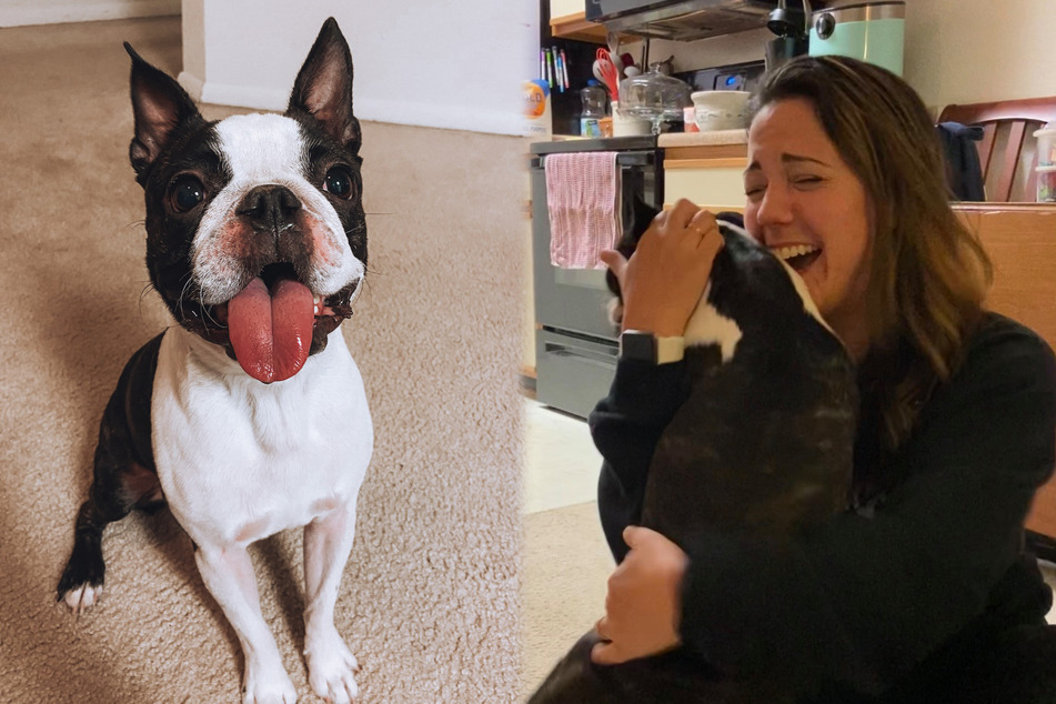 Missing dog and owner reunite in touching video that has Facebook users in tears