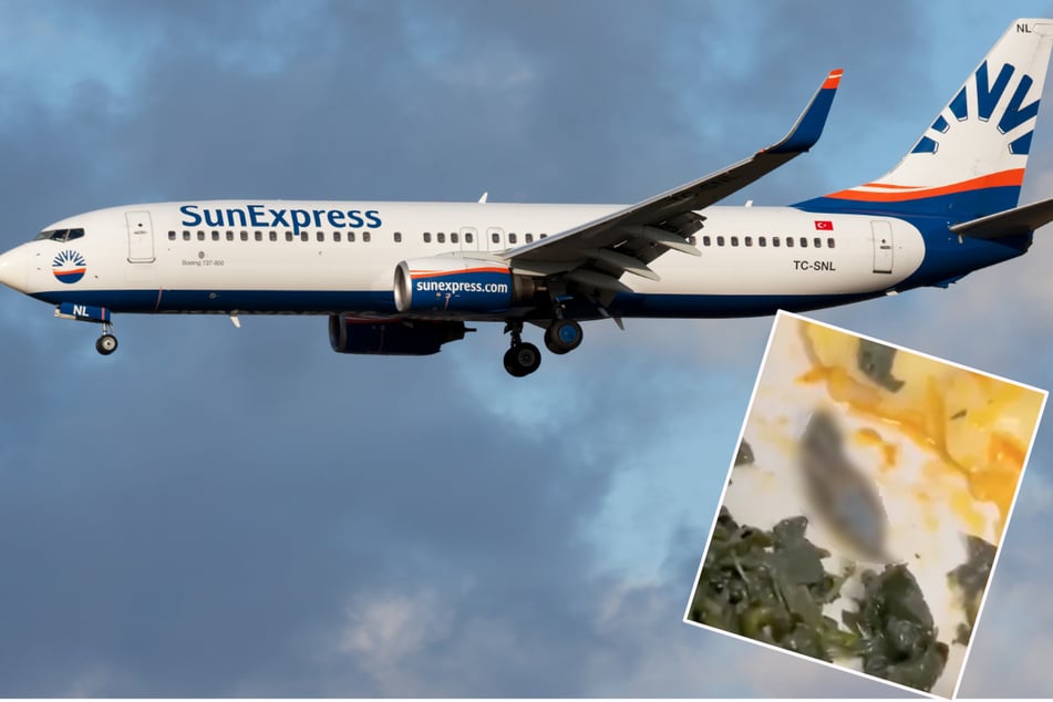 Snakes on a plane? Flight attendant makes disgusting discovery in food
