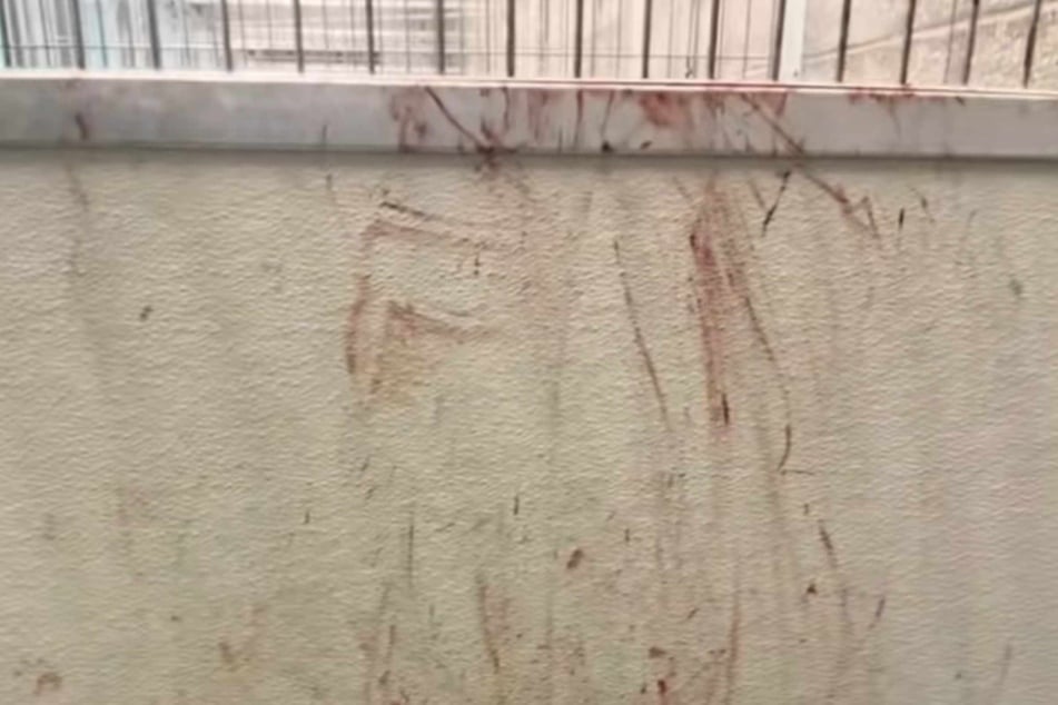 One of the dog kennel walls was covered in blood.