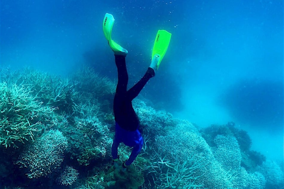 The Great Barrier Reef, a World Heritage site, may soon be placed on the "in danger" list.
