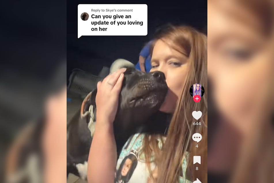Wednesday the dog has now forgiven her owner.