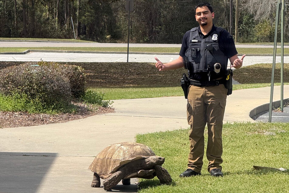 Georgia cops had their hands full with this escaped tortoise!