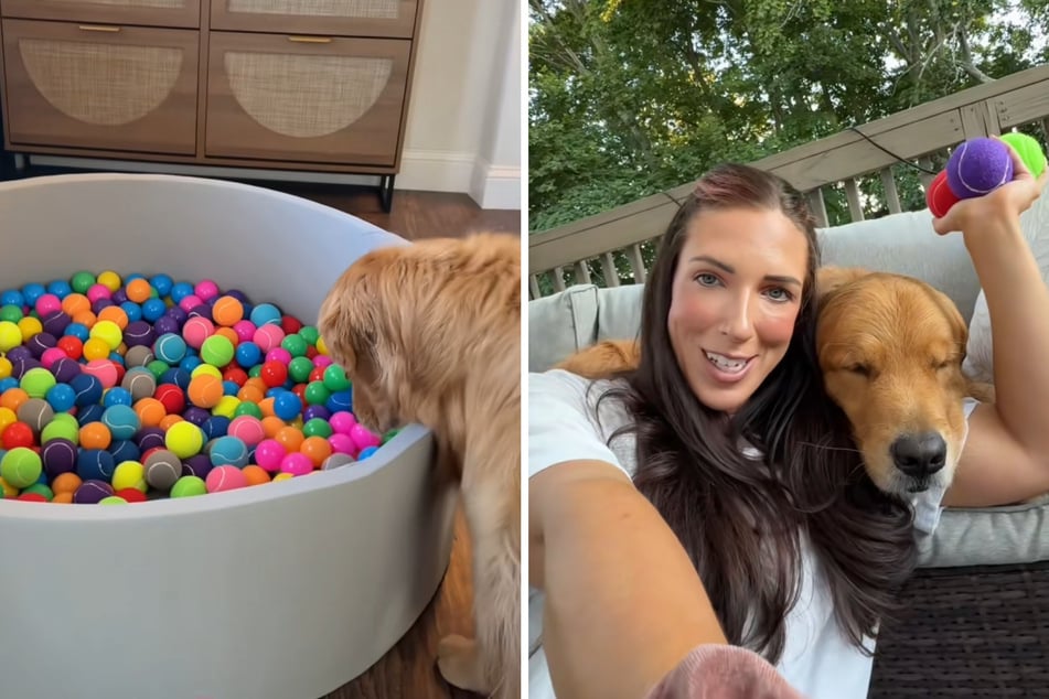 Because her dog often seems down in the dumps, his owner Julia got him a ball pit to play in.