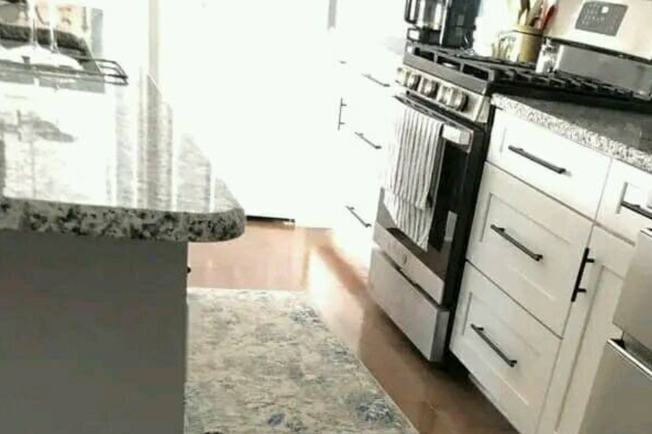 Giant gator shocks Florida homeowner: "I have an alligator in my house!"