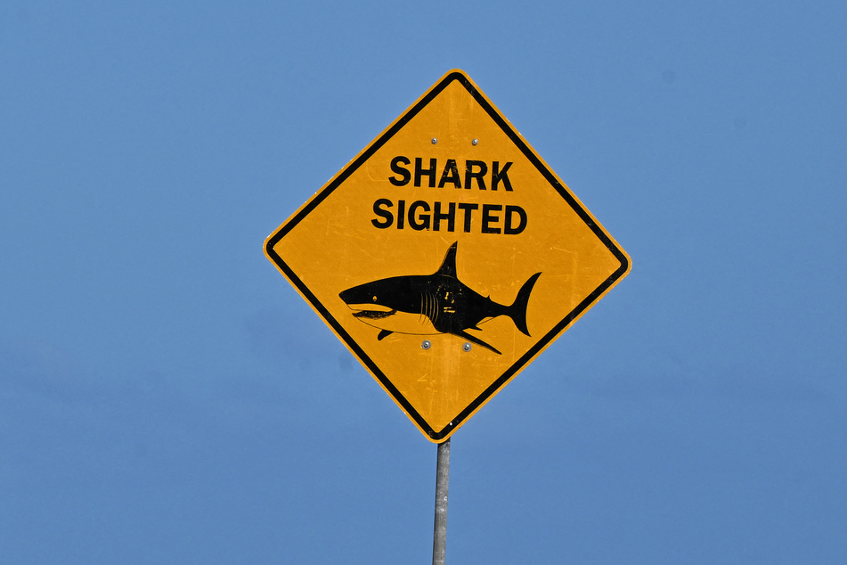 A boy was left in critical condition after being mauled by a shark in Sydney Harbor on Sunday.