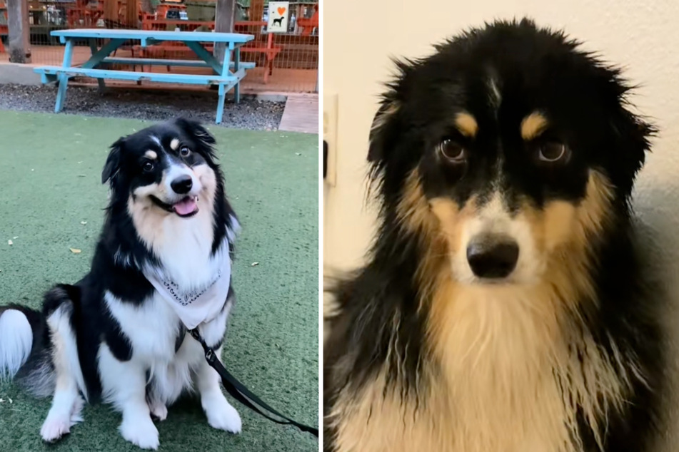 Penny's dramatic facial expressions were made quite obvious in the viral clip.