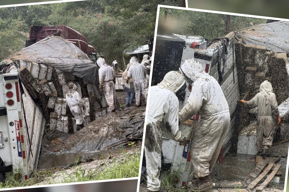 Beekeepers tried to rescue the stranded bee colonies.