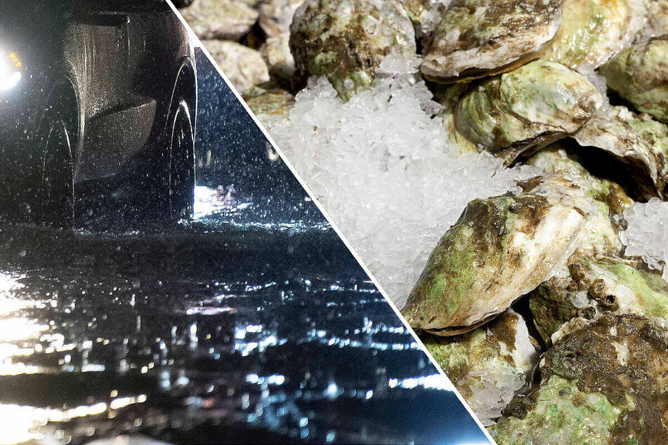 Here's how oyster farming could help prevent NYC's next flood