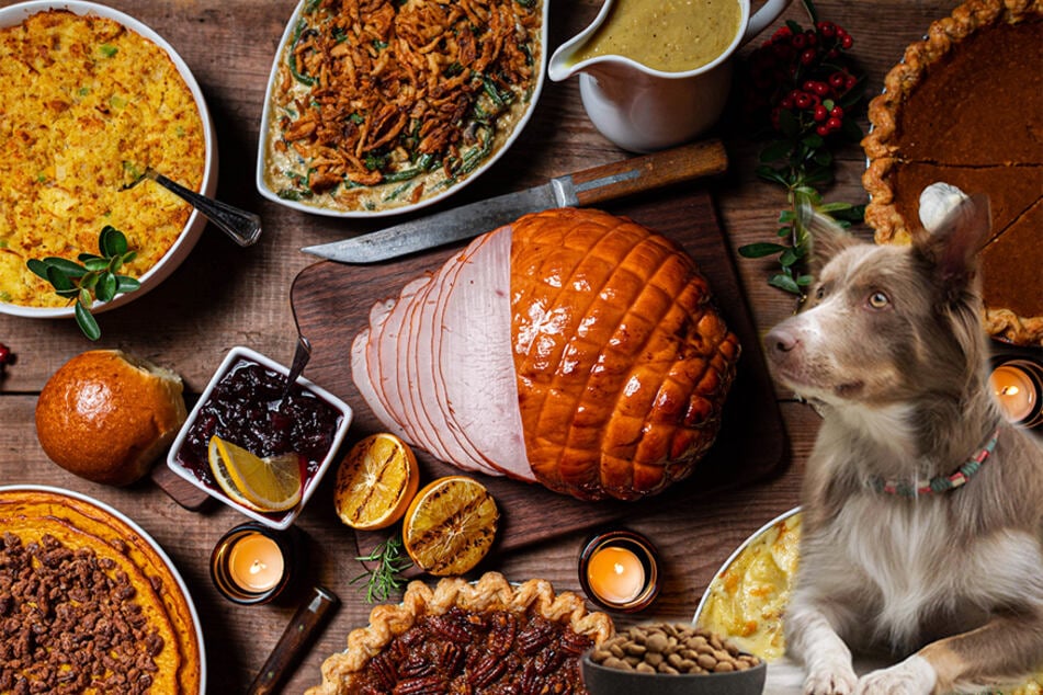 Which Thanksgiving foods are dangerous for dogs to eat?