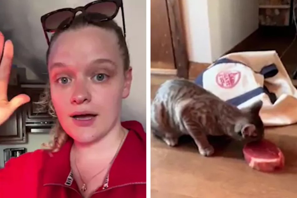 Greedy cat snatches up steak as he steals owner's groceries!