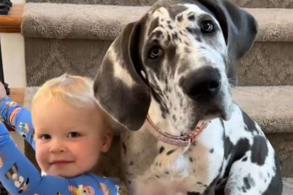 Noah is now much smaller than Millie, but these two cuties couldn't care less!