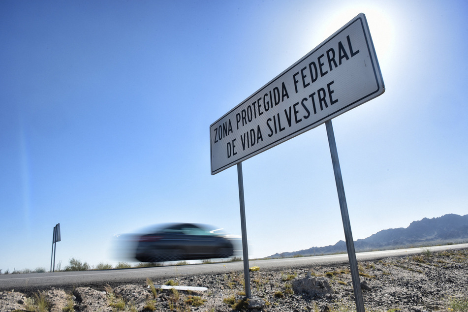 A sign in Spanish reading "protected federal wildlife area" in desert along the border with Mexico and Arizona. Threatened species like the Sonoran pronghorn freely cross the border in protected biospheres, but the construction of the wall will block their movement.