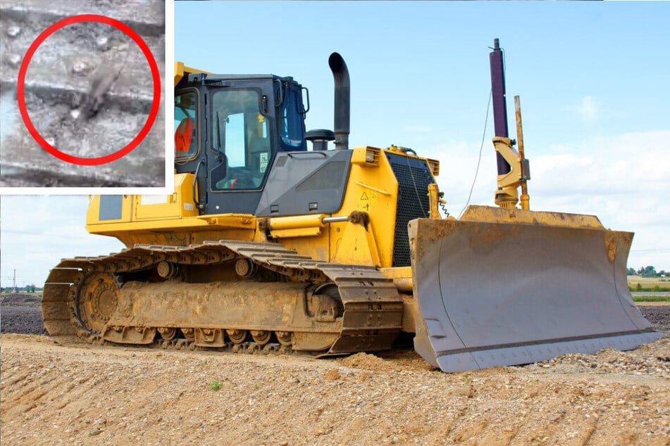 Of Mice and Men: construction workers capture mighty mouse's extreme workout