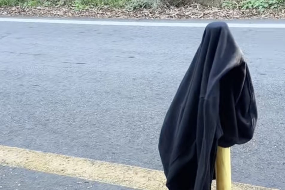 The culprit: an abandoned sweatshirt on the side of the road.