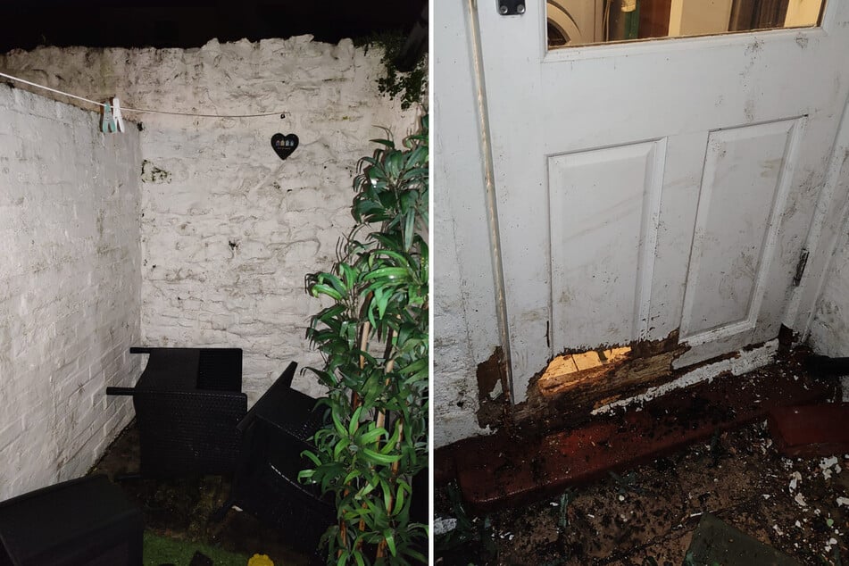 A family from the United Kingdom returned from a vacation to find their home ransacked by a wild animal.