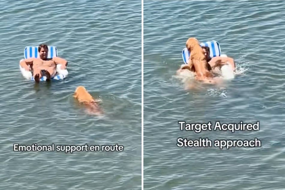 This dog dad just wanted to relax for a while and enjoy floating on an idyllic lake, but his two Golden Retrievers decided that they knew better.