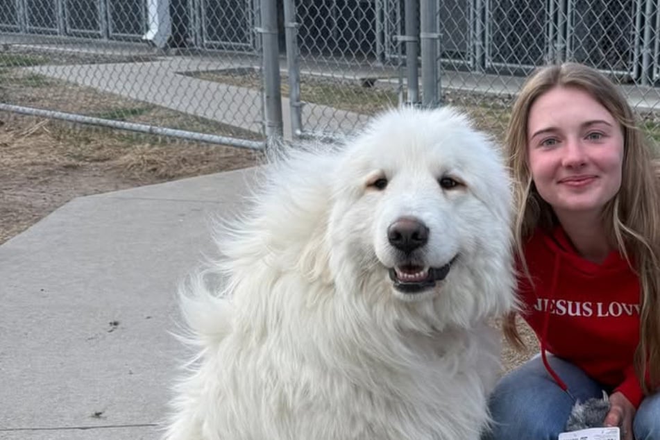 Shelter dog's strange phobia leads to an adorable solution!