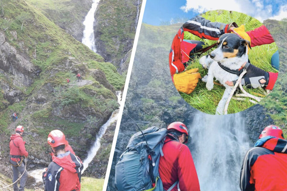 Dog falls down 200-foot waterfall and sparks daring rescue mission