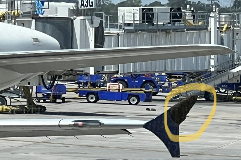A swarm of bees clinging to the wing of a Delta Air Lines flight out of Houston, Texas, prevented the plane from taking off for hours.