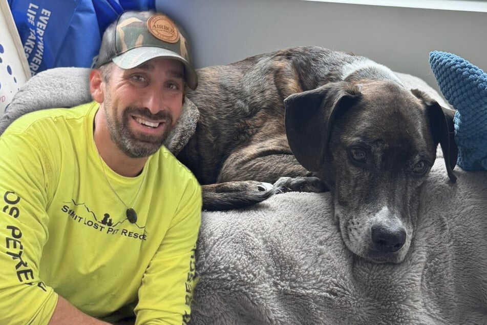 Dog goes missing in the mountains for 43 days – can they find him before it's too late?