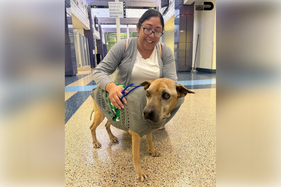 Buttercup's owner couldn't believe it: after ten years, she hadn't expected to see the dog again!