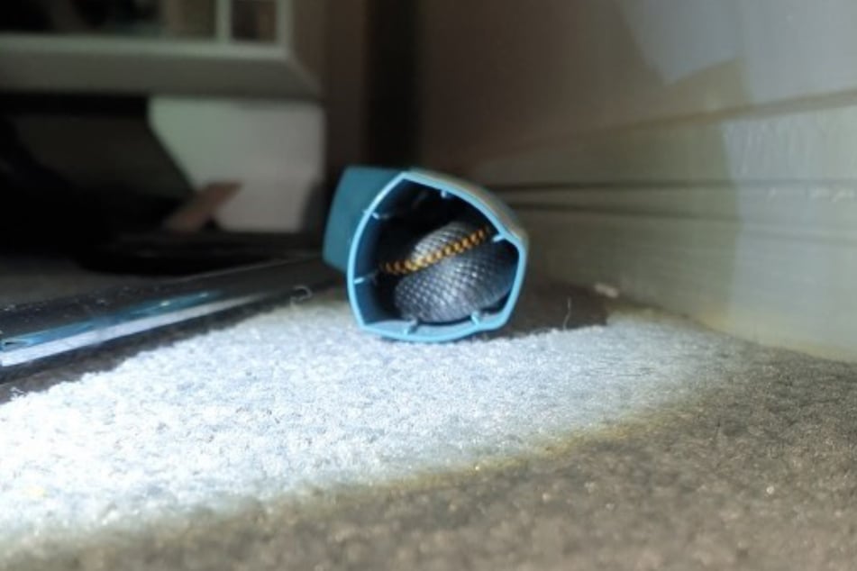 What's that hiding inside the asthma inhaler?