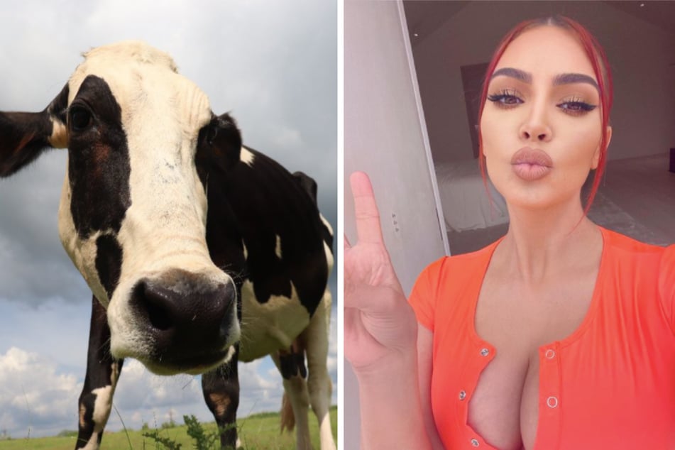 Kim Kowdashian proves there's a new Kim in town