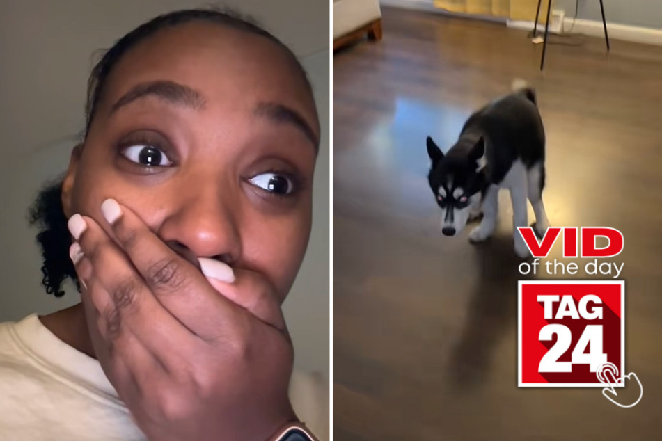 Viral Video of the Day for July 24, 2023: Stinky Husky grosses out owner!
