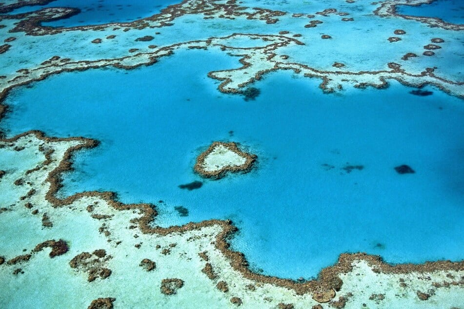The Great Barrier Reef narrowly avoided getting listed as endangered by the UN.