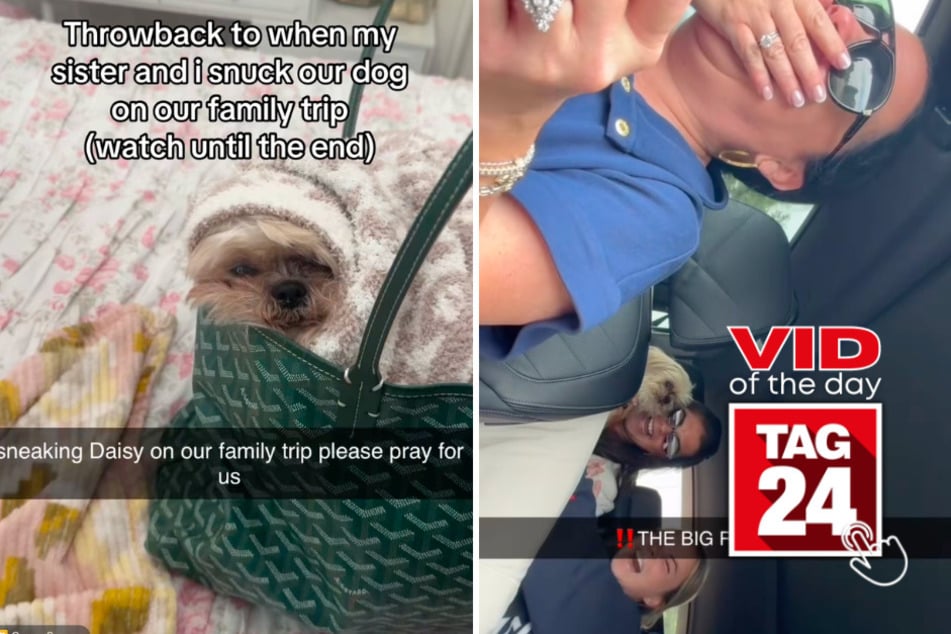 Viral Video of the Day for September 24, 2026: Sisters sneak dog on family road trip in hilarious reveal